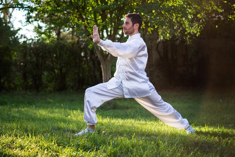 Yang Style Martial Art